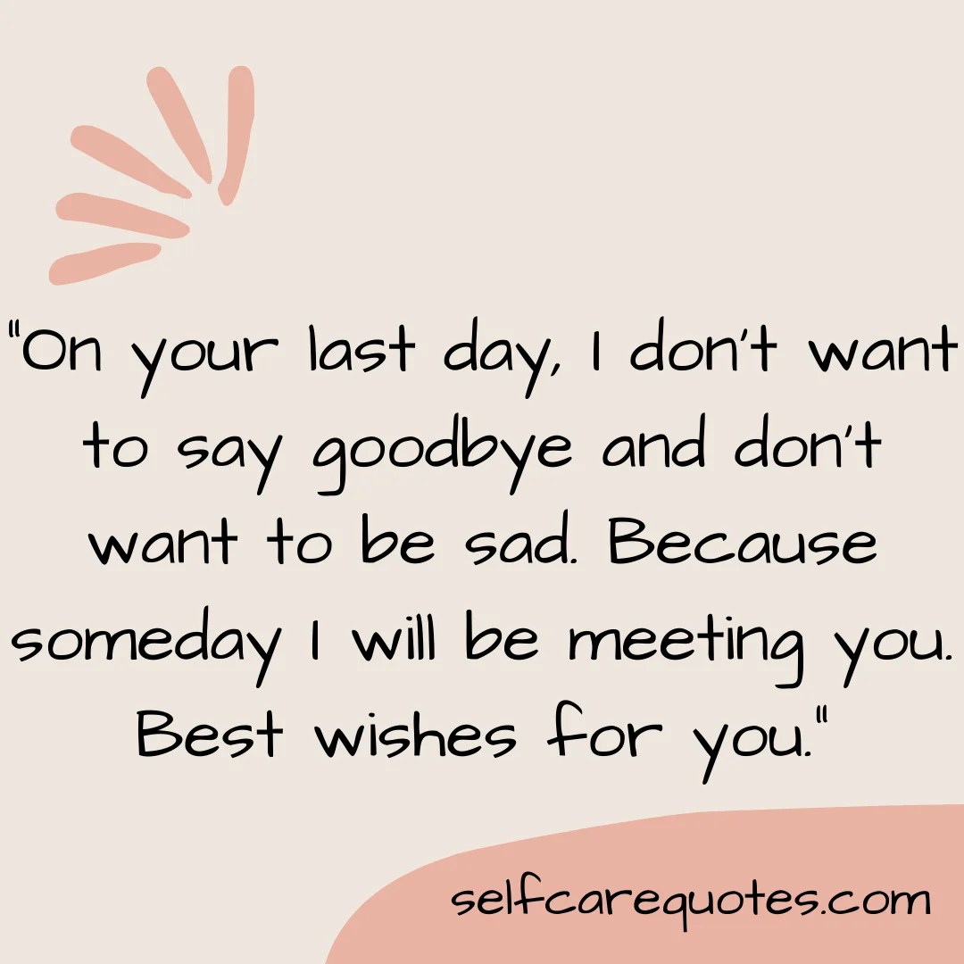 8 Top Popular Farewell Quotes for Seniors - Meaningful Quotes 8 Top Popular Farewell Quotes for Seniors - Meaningful Quotes